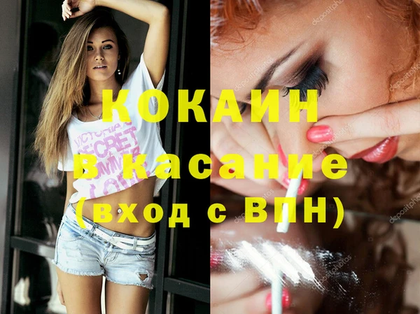 шишки Белокуриха