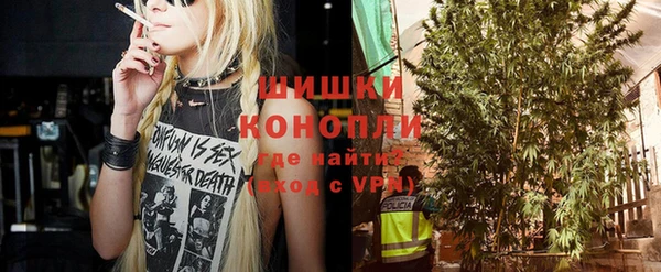 шишки Белокуриха