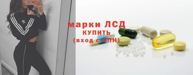 крисы Сатка