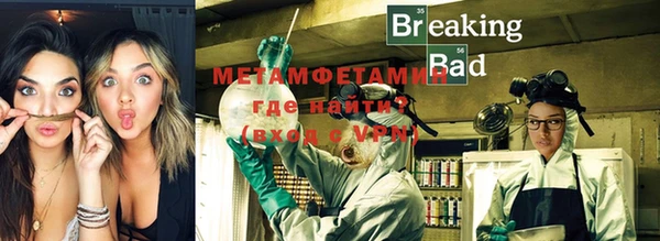 шишки Белокуриха