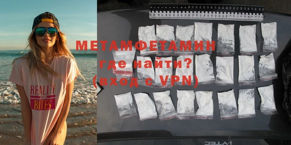 шишки Белокуриха