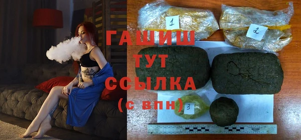 шишки Белокуриха