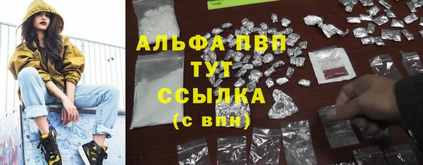 шишки Белокуриха