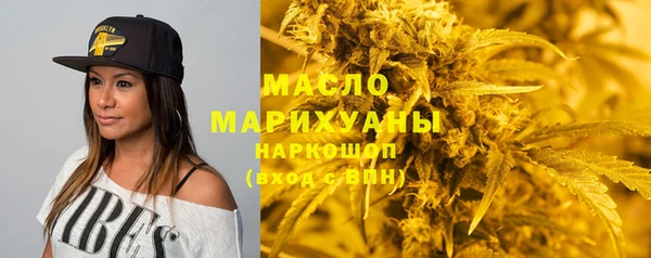 крисы Сатка